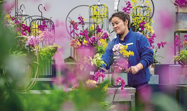 三秦新风貌 “花经济”带来好“钱”景