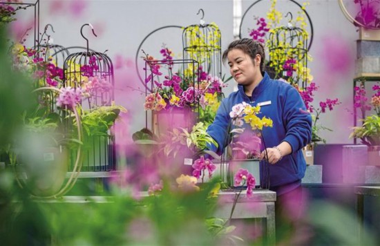 “花經(jīng)濟(jì)”帶來(lái)好“錢”景