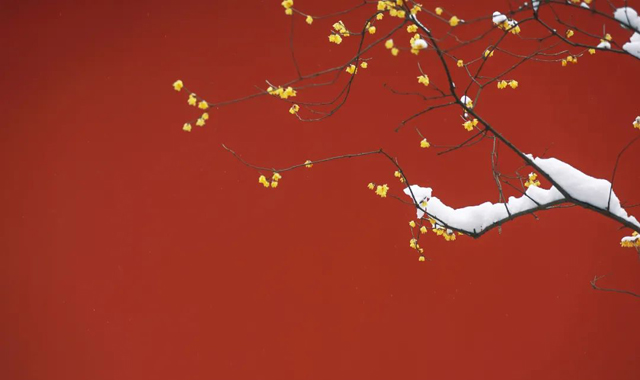 今日大雪！有你在，便是暖冬......