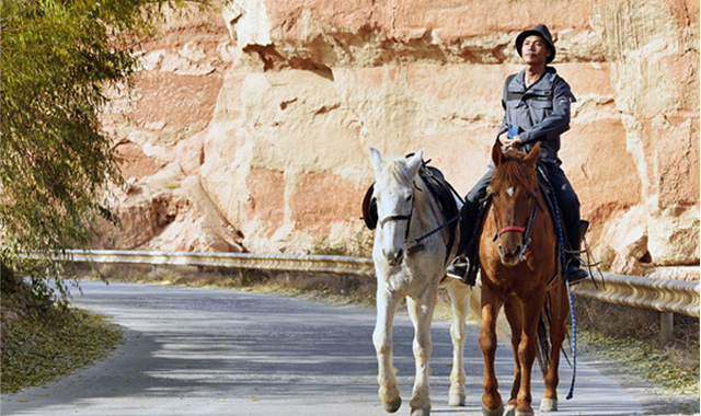 8000公里！泉州男子骑马从伊犁出发准备回家 目前已到达西安