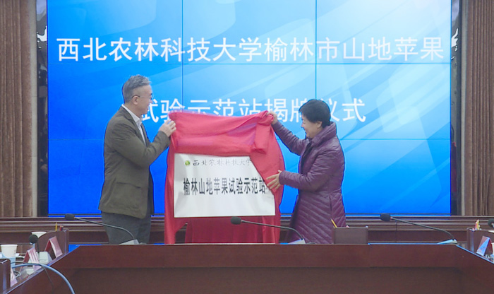 国内首个山地苹果试验示范站在米脂建成