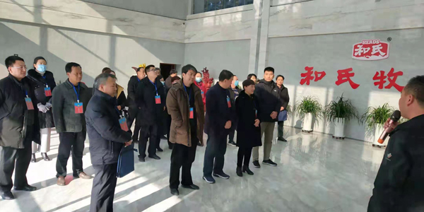 隴縣政協(xié)組織開展重點提案辦理工作視察活動