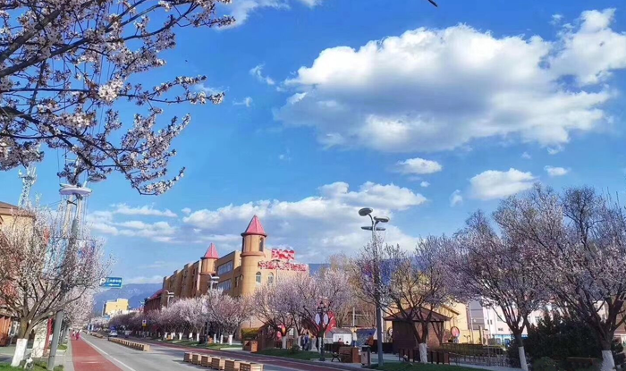 再创新高！太白县优良天数达到362天，“好气质”节节攀升