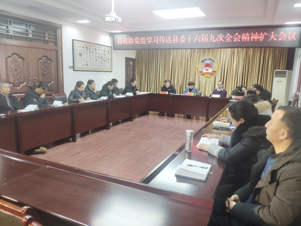 隴縣政協(xié)學(xué)習傳達縣委全會精神
