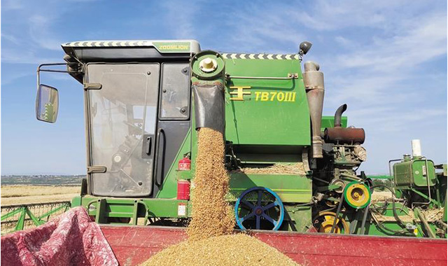 把丰收写在三秦大地上——2020年全省农业农村发展回顾