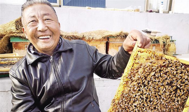 “甜蜜事业”让百余户残疾人实现“大蜂收”