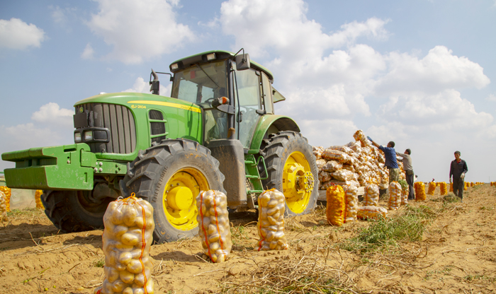 榆阳：脱贫攻坚不松劲 产业托起致富梦