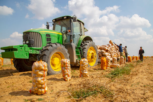  榆陽：脫貧攻堅(jiān)不松勁 產(chǎn)業(yè)托起致富夢(mèng)