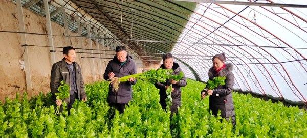 靖邊：奮力譜寫“三農(nóng)”工作新篇章