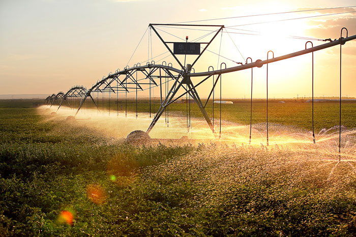 天地風(fēng)光 油鹽美氣 大美定邊勠力前行——定邊縣“十三五”經(jīng)濟(jì)社會(huì)發(fā)展綜述
