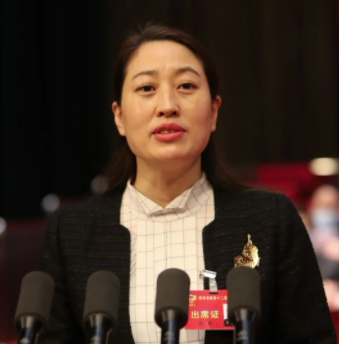 大会发言 | 杨淼常委代表民建陕西省委会：为我省中小企业健康发展注入新动能