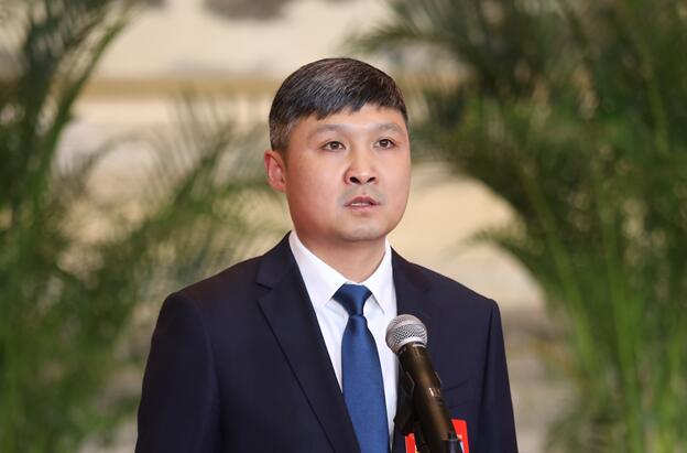 代表通道｜杨恩宏：要把自治、法治、德治紧密结合 推动新民风建设落地