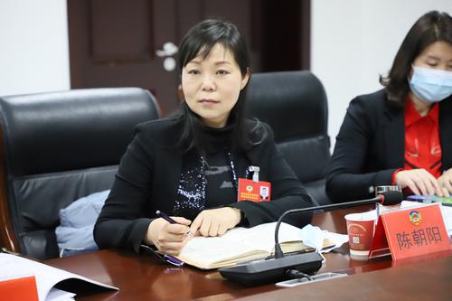 陳朝陽委員：建議進一步鞏固創(chuàng)衛(wèi)成果
