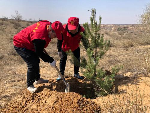 榆林福彩組織干部職工參加春季義務(wù)植樹活動(dòng)