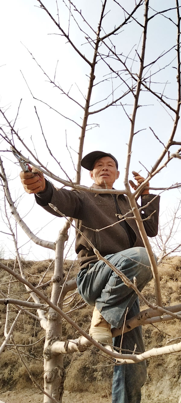 陕西米脂：中央一号文件受农民称赞