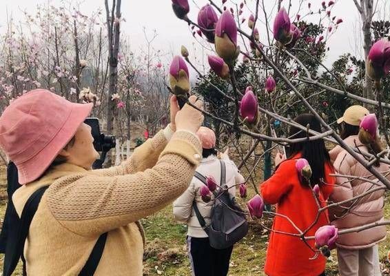 西安植物園27日恢復(fù)開(kāi)園 市民排長(zhǎng)隊(duì)入園賞花