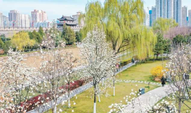 春天一起去赏花吧！西安上榜全国十大最喜爱踏青赏花游城市