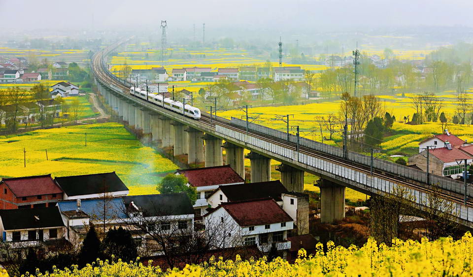 乘火车 游西乡 “火车大巴”开进最美油菜花海