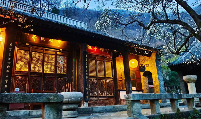 【春天里的陕西】西安长安区:古寺弥漫玉兰香