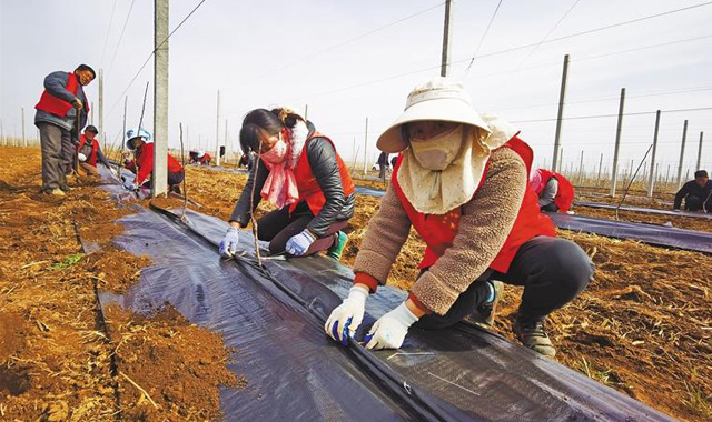 三秦新风貌 不误农时不负春