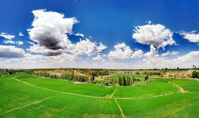 靖边：奋力书写“三农”工作新篇章