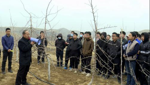 米脂縣召開春季果園防凍現(xiàn)場會
