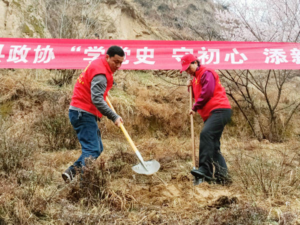 清涧县政协开展“学党史 守初心 添新绿”义务植树主题党日活动