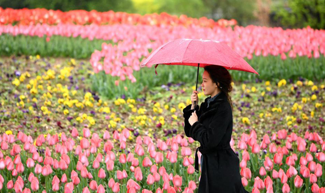 西安植物园第29届春季花展开展