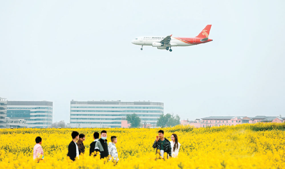 西咸新区空港新城首届油菜花节开幕 8场主题活动等你来“打卡”
