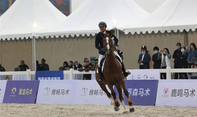 十四运会马术赛场迎首秀 场地科技感十足