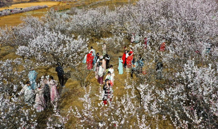 榆阳区：做强“用绿”文章 让“金山银山”长存