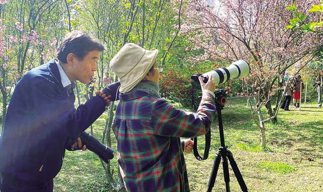 满园春色醉游人