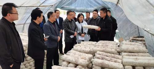金臺區(qū)政協(xié)考察鳳縣農(nóng)業(yè)專業(yè)合作社發(fā)展情況