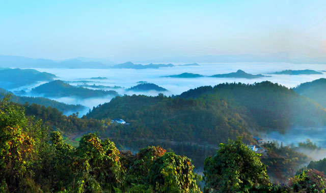 中国最美乡村——平利县的炫目“蝶变”