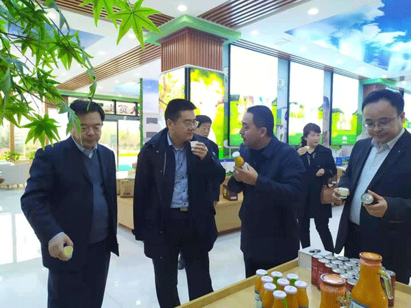 省工信廳副廳長劉波一行調(diào)研隴縣工業(yè)發(fā)展