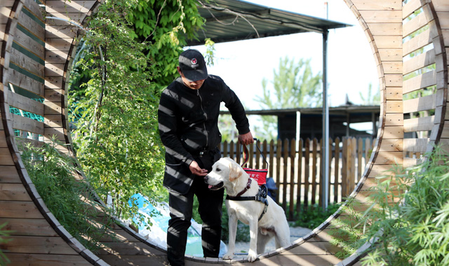 关注导盲犬关爱视障群体