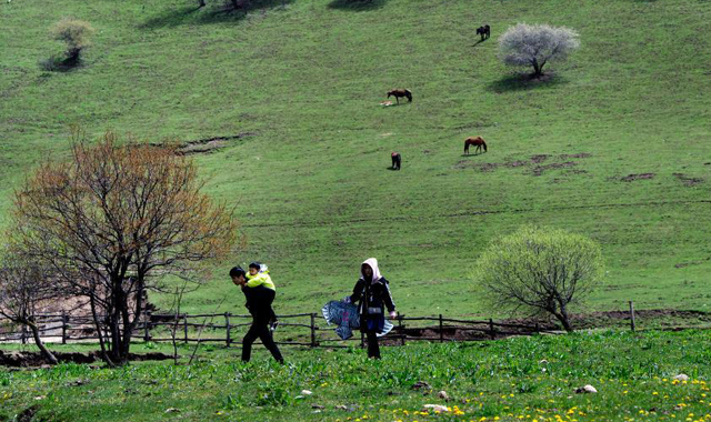 春风梳妆草原绿 遍野山花游人醉