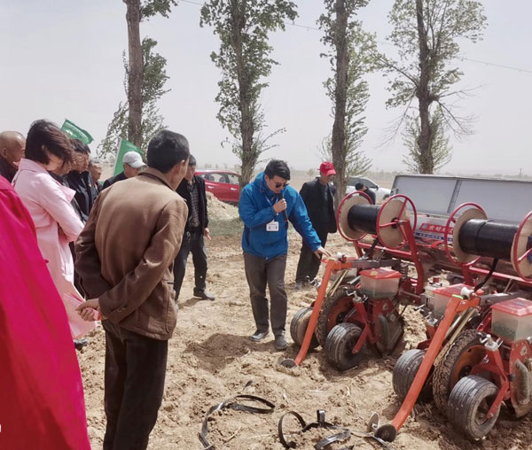 玉米生產(chǎn)全程托管 定邊這個(gè)村農(nóng)戶成“甩手掌柜”