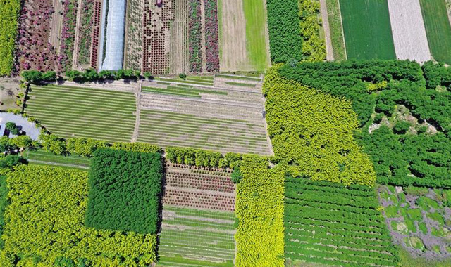 终南山下 田园风光