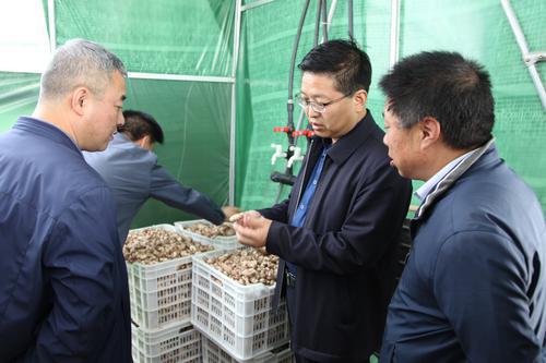 洛南縣政協(xié)開展“聚力項(xiàng)目·助力開局”集中視察活動