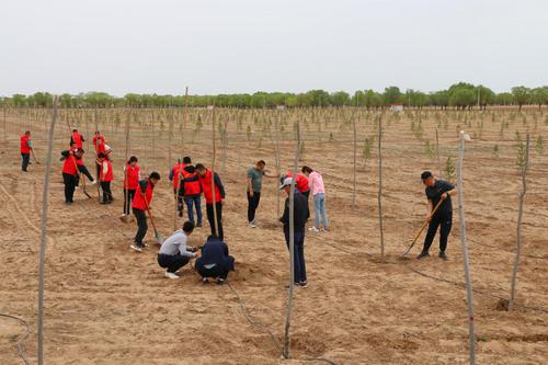 定邊縣堆子梁鎮(zhèn)：堅持生態(tài)底線 守住綠色發(fā)展