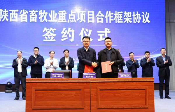 “定邊經(jīng)驗(yàn)”成全省畜牧業(yè)現(xiàn)場(chǎng)會(huì)熱詞