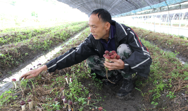 保护朱鹮家园 共筑绿色小康梦
