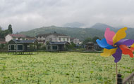 陜西石泉：“金蠶”蝶變結(jié)“金繭”