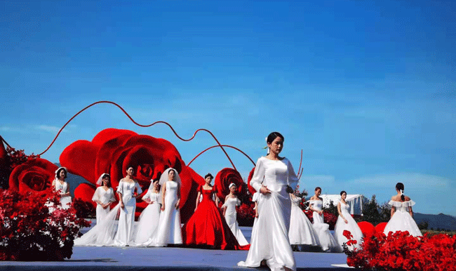 2021宝鸡都市文化旅游系列活动暨 “玫瑰之缘·相约渭滨”首届秦岭玫瑰文化旅游节开幕