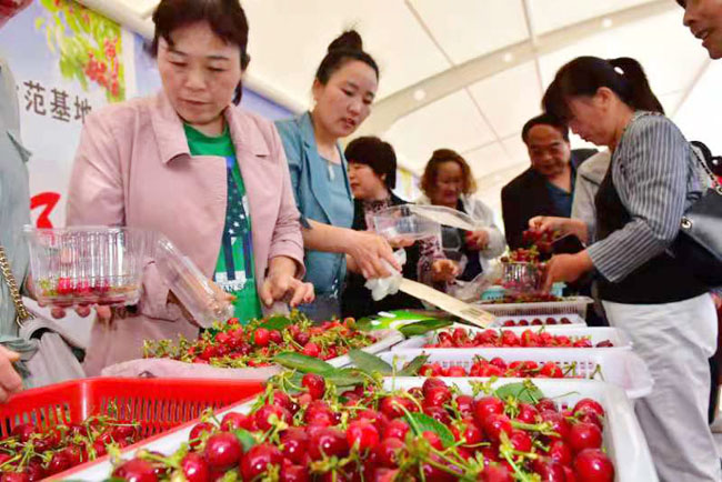 “樱”为有你“桃”醉王益