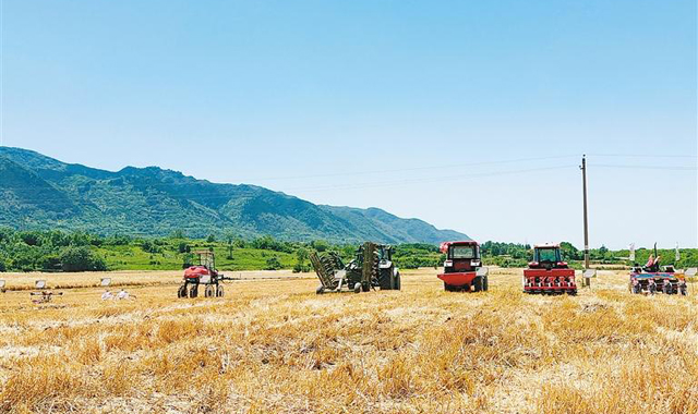 今年西安市夏粮收获面积221万亩 “三夏”作业计划投入各类农机具7万余台（件）