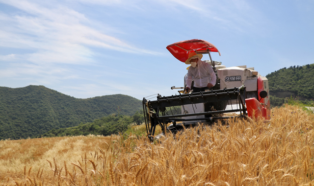 龙口夺食 颗粒归仓