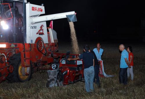 豐收是喜悅，搶收更關(guān)鍵