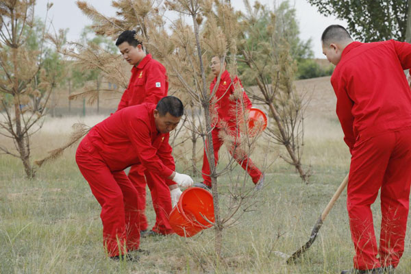 學(xué)黨史辦實(shí)事 共植和諧林